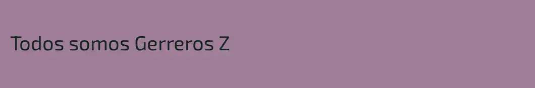 Todos somos Gerreros Z